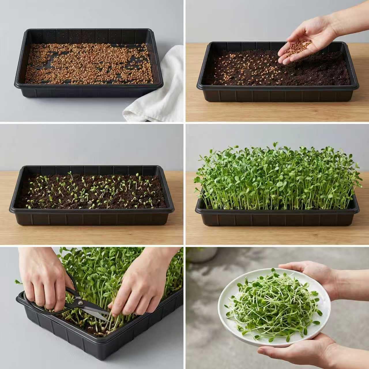 10 Plant Growing Trays,Plant Tray, Seed Tray, Seedling Tray, Propagation Tray, Plant Trays for Seedlings, Planting Trays, Seedling Starter Tray(No Drain Holes)