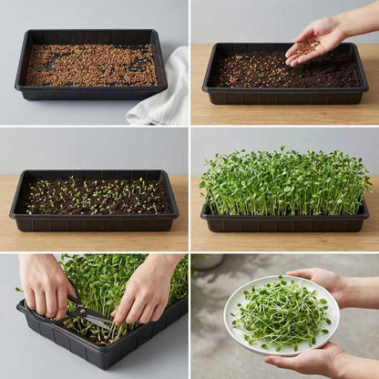 10 Plant Growing Trays,Plant Tray, Seed Tray, Seedling Tray, Propagation Tray, Plant Trays for Seedlings, Planting Trays, Seedling Starter Tray(No Drain Holes)