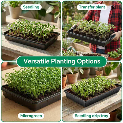 10 Plant Growing Trays,Plant Tray, Seed Tray, Seedling Tray, Propagation Tray, Plant Trays for Seedlings, Planting Trays, Seedling Starter Tray(No Drain Holes)