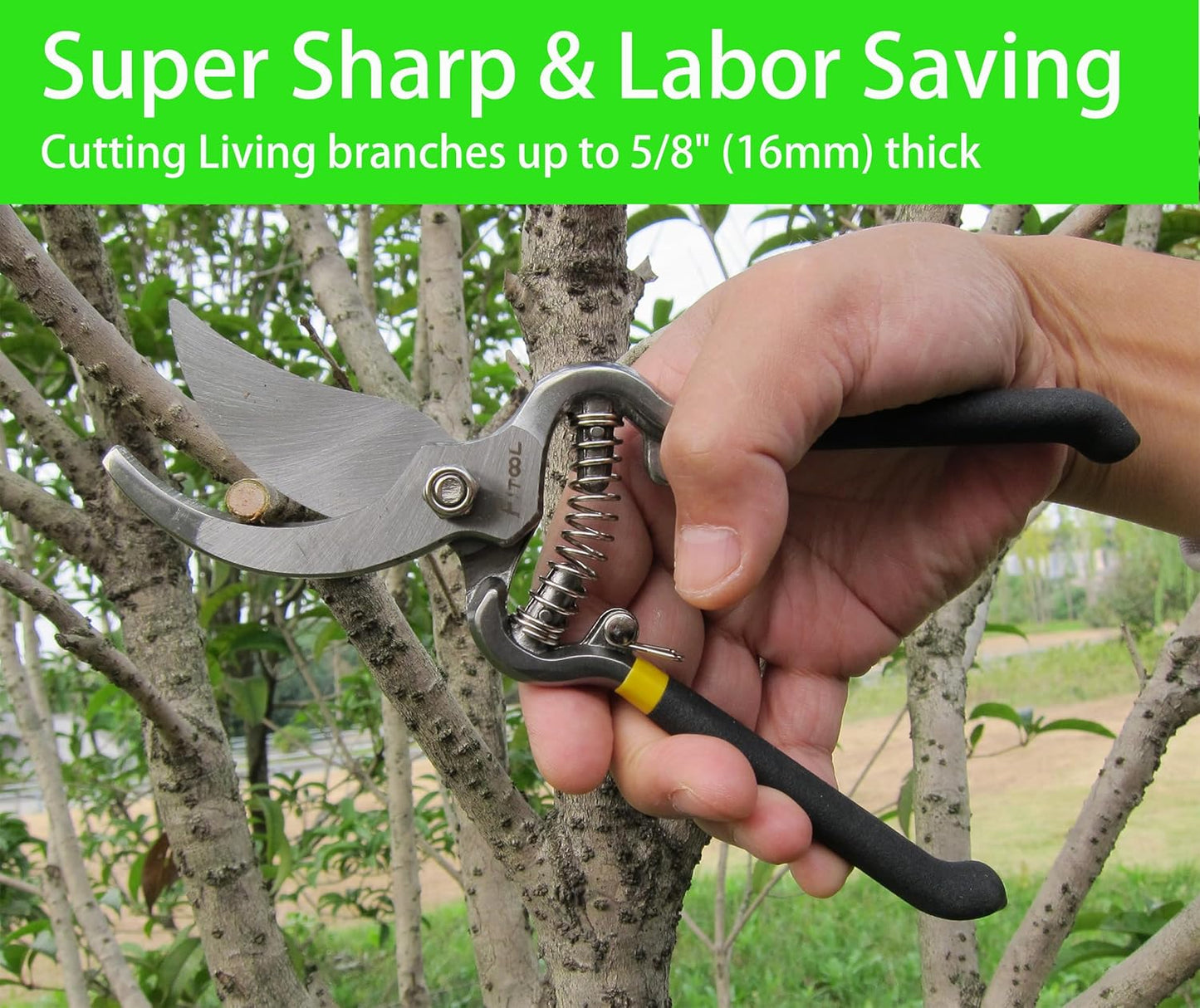 Forged Bypass Hand Clippers Pruner, With 5/8 Inch Cutting Capacity, Ergonomic handle with Soft Grip, Pruning Shear 8-Inch (Bypass)