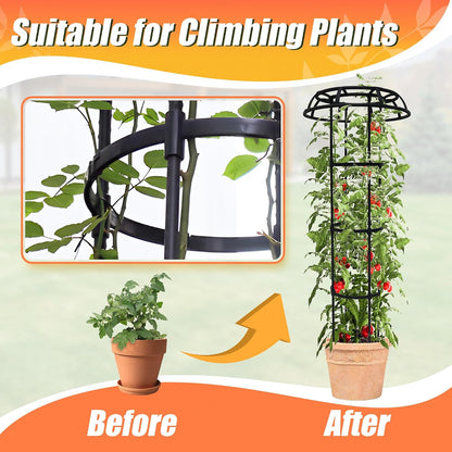 6ft Garden Obelisk Trellis for Climbing Plants-Rustproof Metal Pipe with Heavy Duty Plastic Coated, Garden Outdoor Indoor Potted Plant Support for Clematis Vine Jasmine Support （Black）