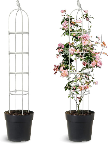 6ft Garden Obelisk Trellis for Climbing Plants-Rustproof Metal Pipe with Heavy Duty Plastic Coated, Garden Outdoor Indoor Potted Plant Support for Clematis Vine Jasmine Support （Black）