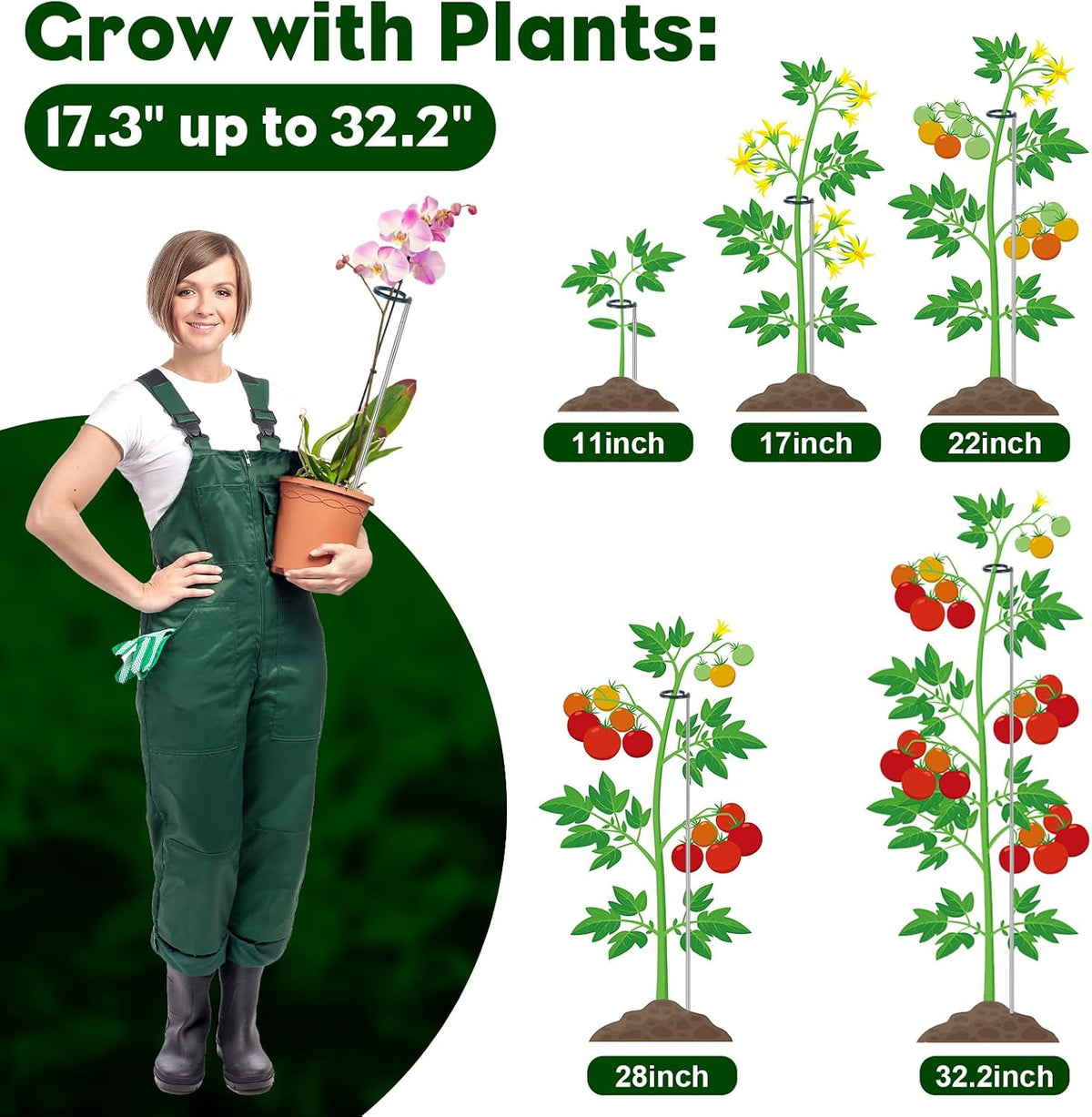 Extendable Monstera Plant Support Stakes, Made of Aluminum Alloy, Tomato Stakes Length Adjust from 17.3" to 32.2", Suitable for Indoor Outdoor Potted Amaryllis Vegetables-7Pack (32.2inches-7Pack)