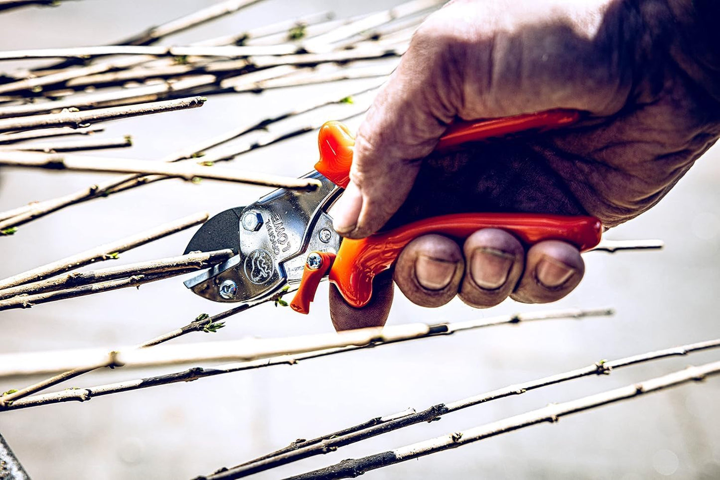 5 Professional Anvil Pruning Shears 5.107 with Stainless and Non-Stick Coated Steel Blade - Handy and Lightweight Pruning Shears Ideal for Cutting Apple Trees, Pear Trees & Orchard Work