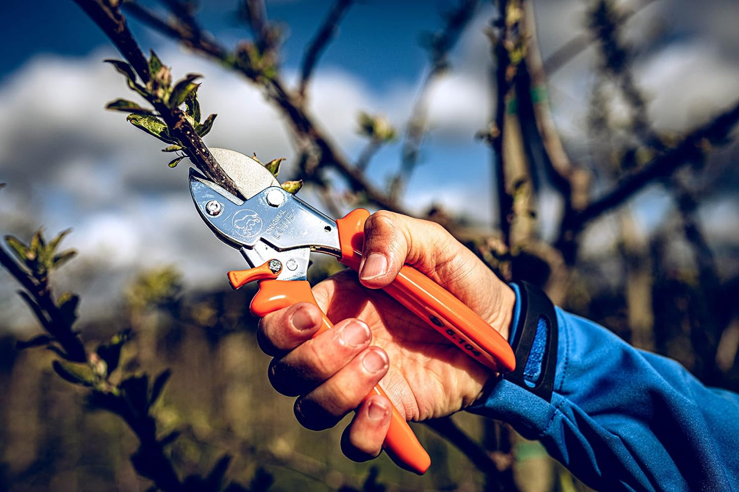 5 Professional Anvil Pruning Shears 5.107 with Stainless and Non-Stick Coated Steel Blade - Handy and Lightweight Pruning Shears Ideal for Cutting Apple Trees, Pear Trees & Orchard Work