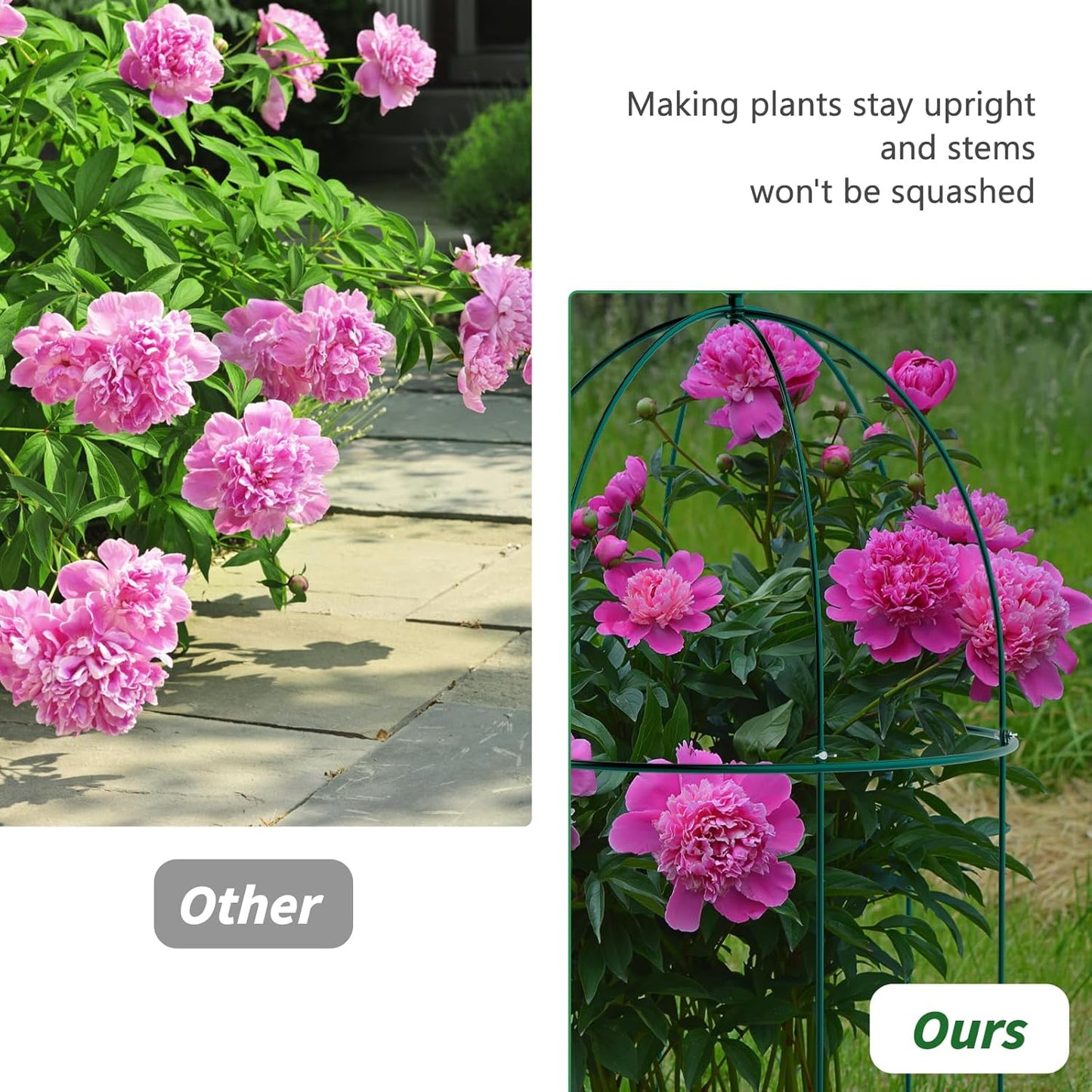 3 Pack Metal Plant Cage Support, 31.5" H Peony Support
