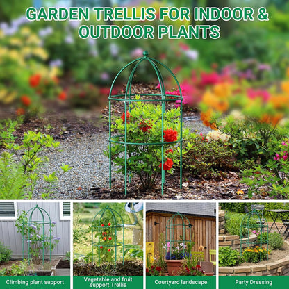 3 Pack Metal Plant Cage Support, 31.5" H Peony Support