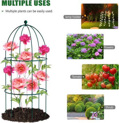 3 Pack Metal Plant Cage Support, 31.5" H Peony Support