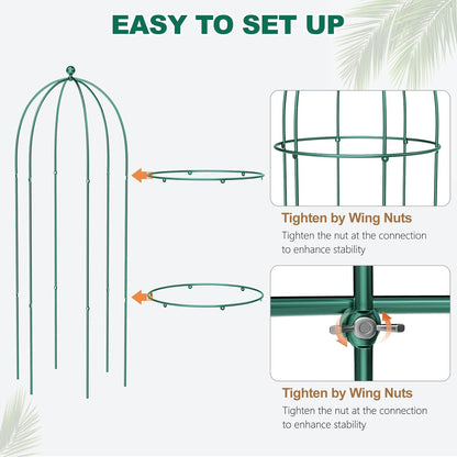 3 Pack Metal Plant Cage Support, 31.5" H Peony Support