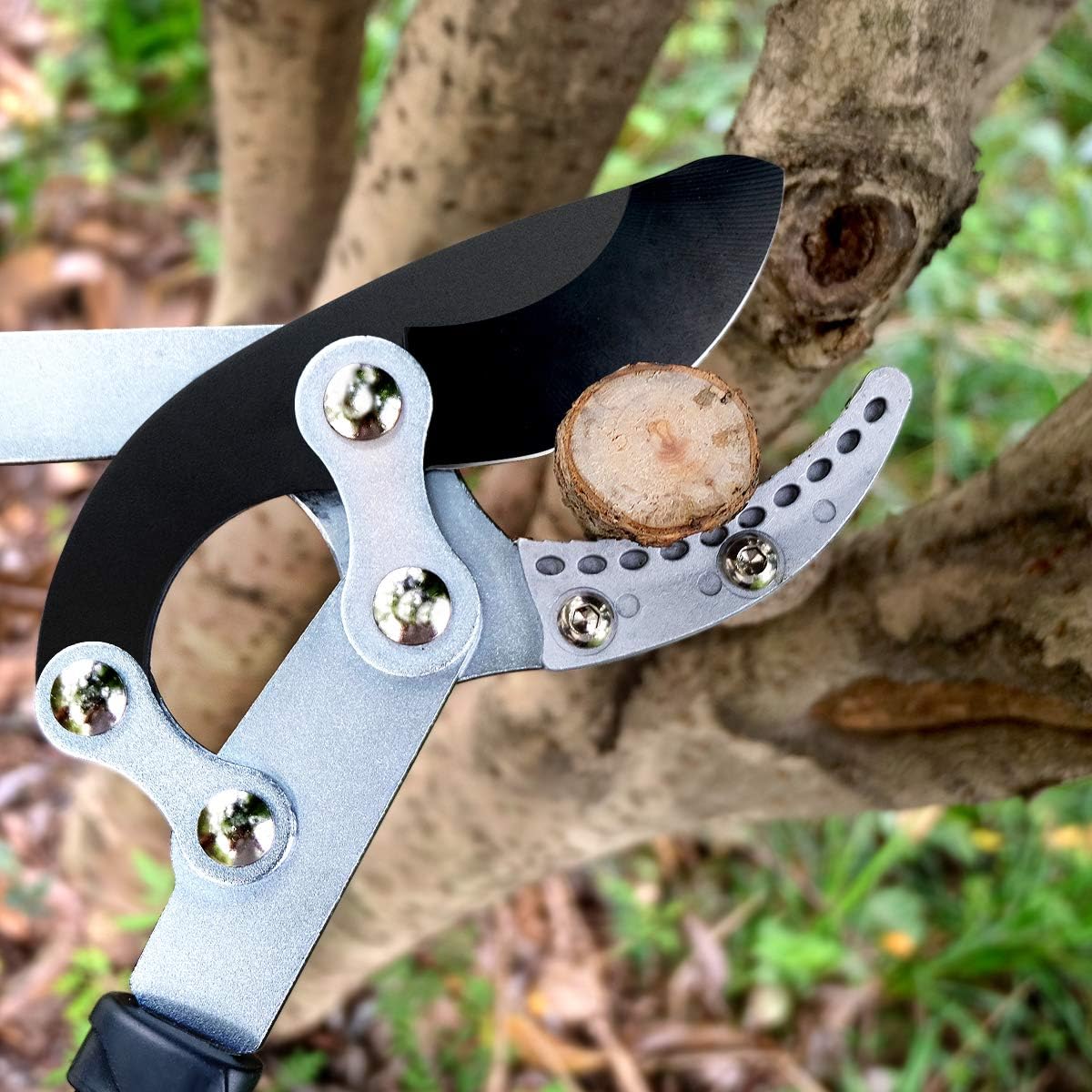 Ratchet Anvil Loppers, Heavy Duty Tree Branch Cutters with 2" Cutting Capacity, Labor-Saving Garden Loppers with Additional SK5 Spare Blade for Yard, Orchard & Thick Shrub Trimming