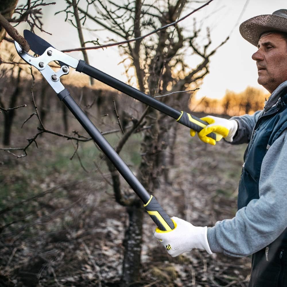 Ratchet Anvil Loppers, Heavy Duty Tree Branch Cutters with 2" Cutting Capacity, Labor-Saving Garden Loppers with Additional SK5 Spare Blade for Yard, Orchard & Thick Shrub Trimming
