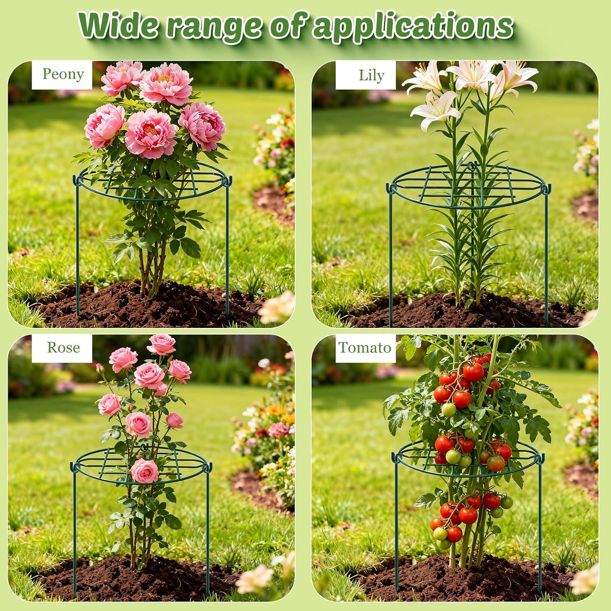 8 Pack 12 x 15.7 inch Peony Cages and Supports,Metal Grow Through Plant Supports for Outdoor Plants,Flowers Support Rings Top-Heavy Plant Brace Support Hoop for Vegetables,Rose,Tomato,Orchids
