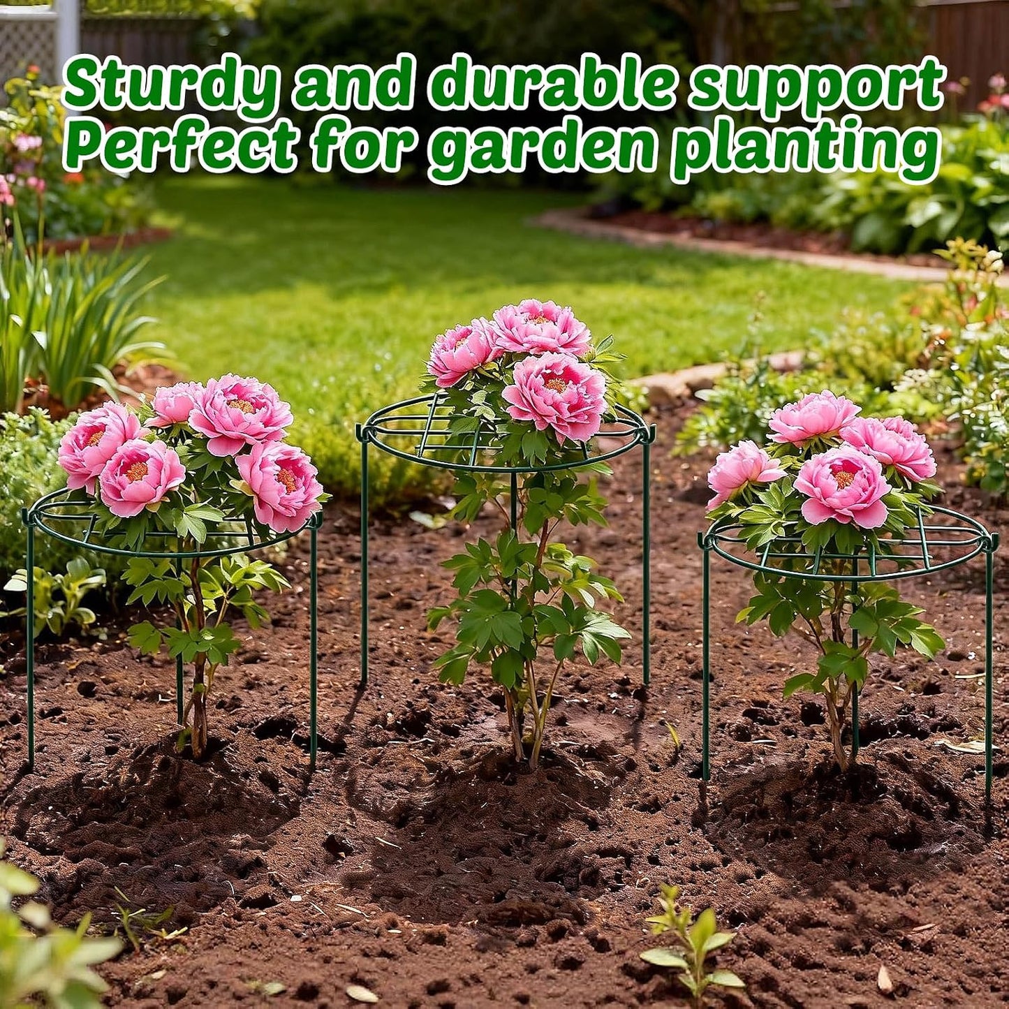 8 Pack 12 x 15.7 inch Peony Cages and Supports,Metal Grow Through Plant Supports for Outdoor Plants,Flowers Support Rings Top-Heavy Plant Brace Support Hoop for Vegetables,Rose,Tomato,Orchids