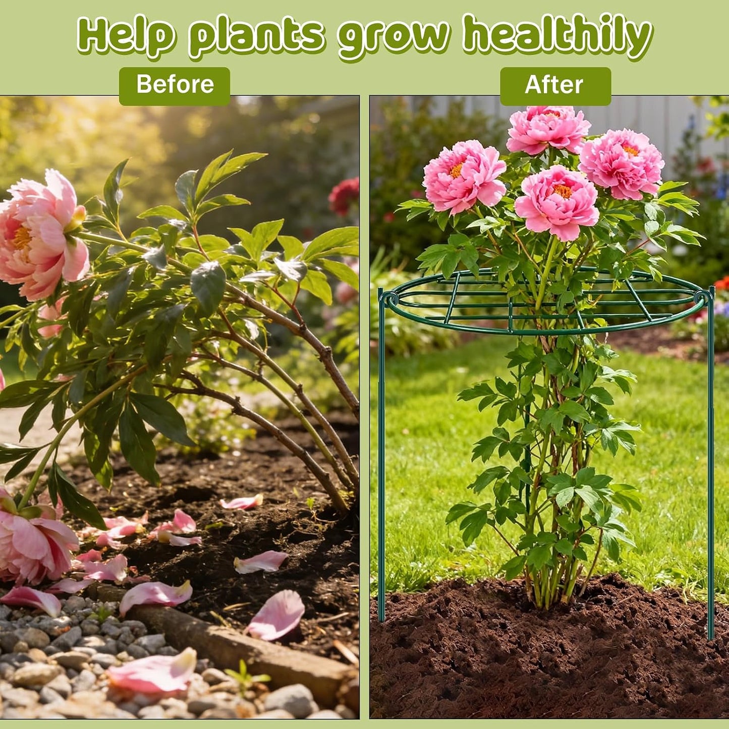 8 Pack 12 x 15.7 inch Peony Cages and Supports,Metal Grow Through Plant Supports for Outdoor Plants,Flowers Support Rings Top-Heavy Plant Brace Support Hoop for Vegetables,Rose,Tomato,Orchids