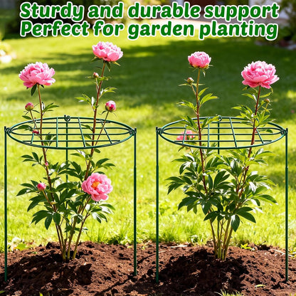 8 Pack 12 x 15.7 inch Peony Cages and Supports,Metal Grow Through Plant Supports for Outdoor Plants,Flowers Support Rings Top-Heavy Plant Brace Support Hoop for Vegetables,Rose,Tomato,Orchids