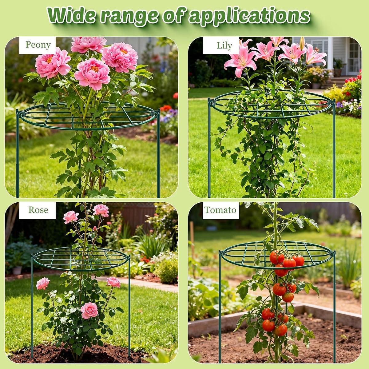 8 Pack 12 x 15.7 inch Peony Cages and Supports,Metal Grow Through Plant Supports for Outdoor Plants,Flowers Support Rings Top-Heavy Plant Brace Support Hoop for Vegetables,Rose,Tomato,Orchids