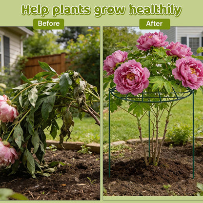 8 Pack 12 x 15.7 inch Peony Cages and Supports,Metal Grow Through Plant Supports for Outdoor Plants,Flowers Support Rings Top-Heavy Plant Brace Support Hoop for Vegetables,Rose,Tomato,Orchids