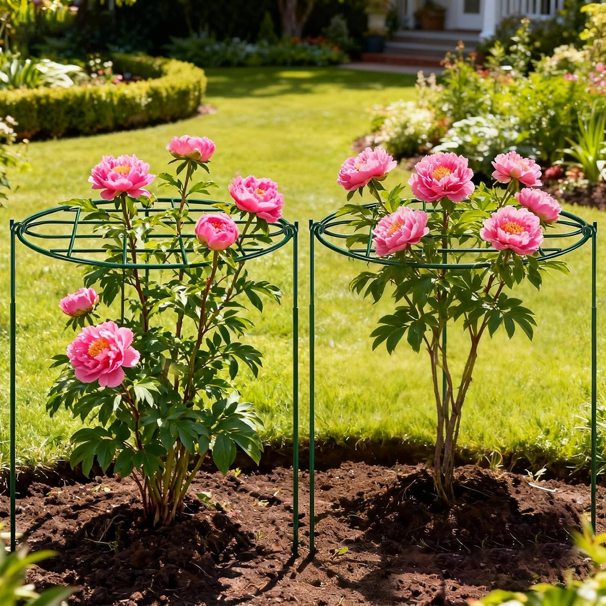 8 Pack 12 x 15.7 inch Peony Cages and Supports,Metal Grow Through Plant Supports for Outdoor Plants,Flowers Support Rings Top-Heavy Plant Brace Support Hoop for Vegetables,Rose,Tomato,Orchids