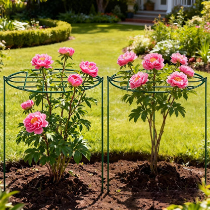 8 Pack 12 x 15.7 inch Peony Cages and Supports,Metal Grow Through Plant Supports for Outdoor Plants,Flowers Support Rings Top-Heavy Plant Brace Support Hoop for Vegetables,Rose,Tomato,Orchids