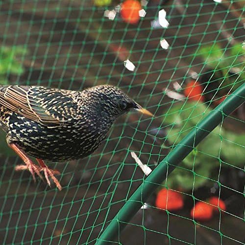 33 Ft x 13 Ft Green Garden Bird Netting,Green Garden Plant Netting,Garden Plant Fruits Fencing Mesh