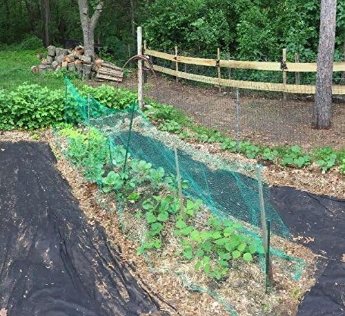 33 Ft x 13 Ft Green Garden Bird Netting,Green Garden Plant Netting,Garden Plant Fruits Fencing Mesh
