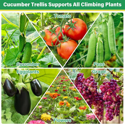 2Pack 51x35Inch Cucumber Trellis for Raised Bed, Adjustable A-Frame Garden Trellis for Climbing Plants Outdoor with Climbing Net, Meal Plant Trellis for Vegetables Pea Bean Tomato Squash Grape