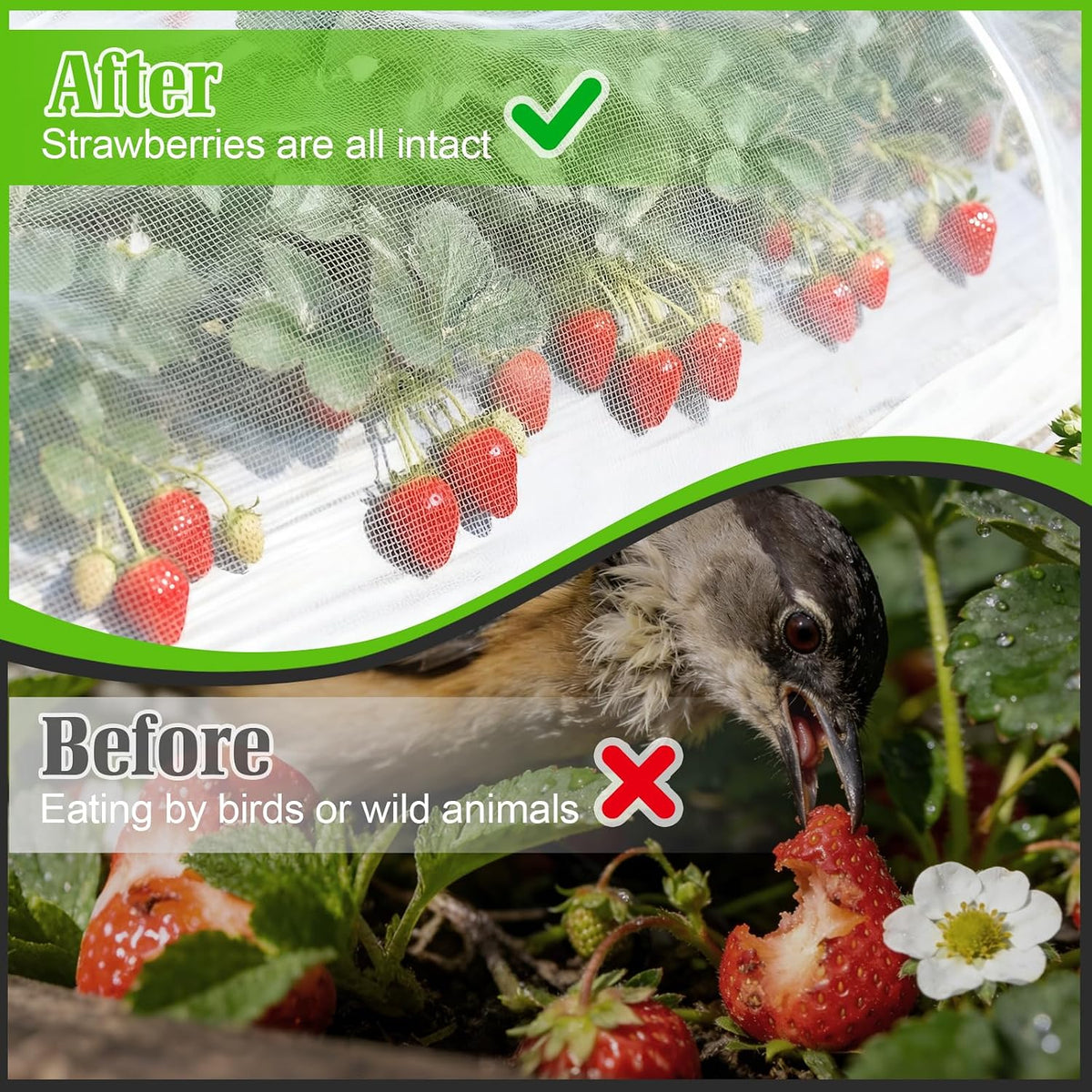 Garden Netting for Strawberry Plants,6.5'x10' HDPE Fine Strawberry Bird Netting for Raised Bed Row Cover Screen Mesh Net,Protecting Plant Mesh Cover for Fruit Tree Vegetable Flowers (6.5'x10')