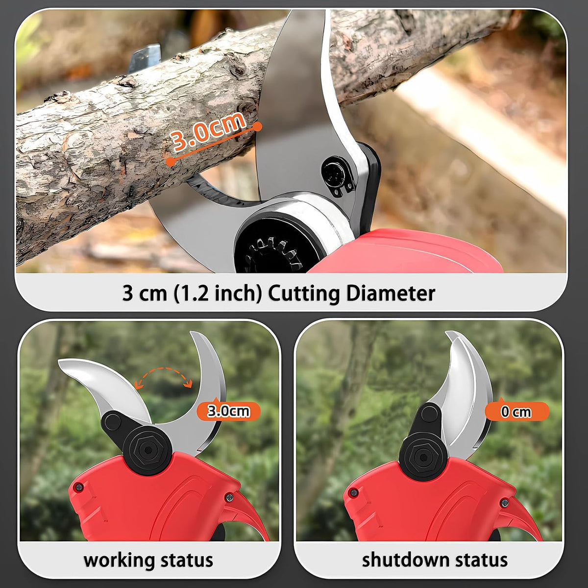 2-IN-1 Cordless Electric Pole Pruning Shears, 12.6FT Telescopic Reach, 1.1 Inch(28mm) Cutting Diameter, Brushless Motor, 2×20V 2000mAh Battery, Garden Tree Branch Pruning & Trimming