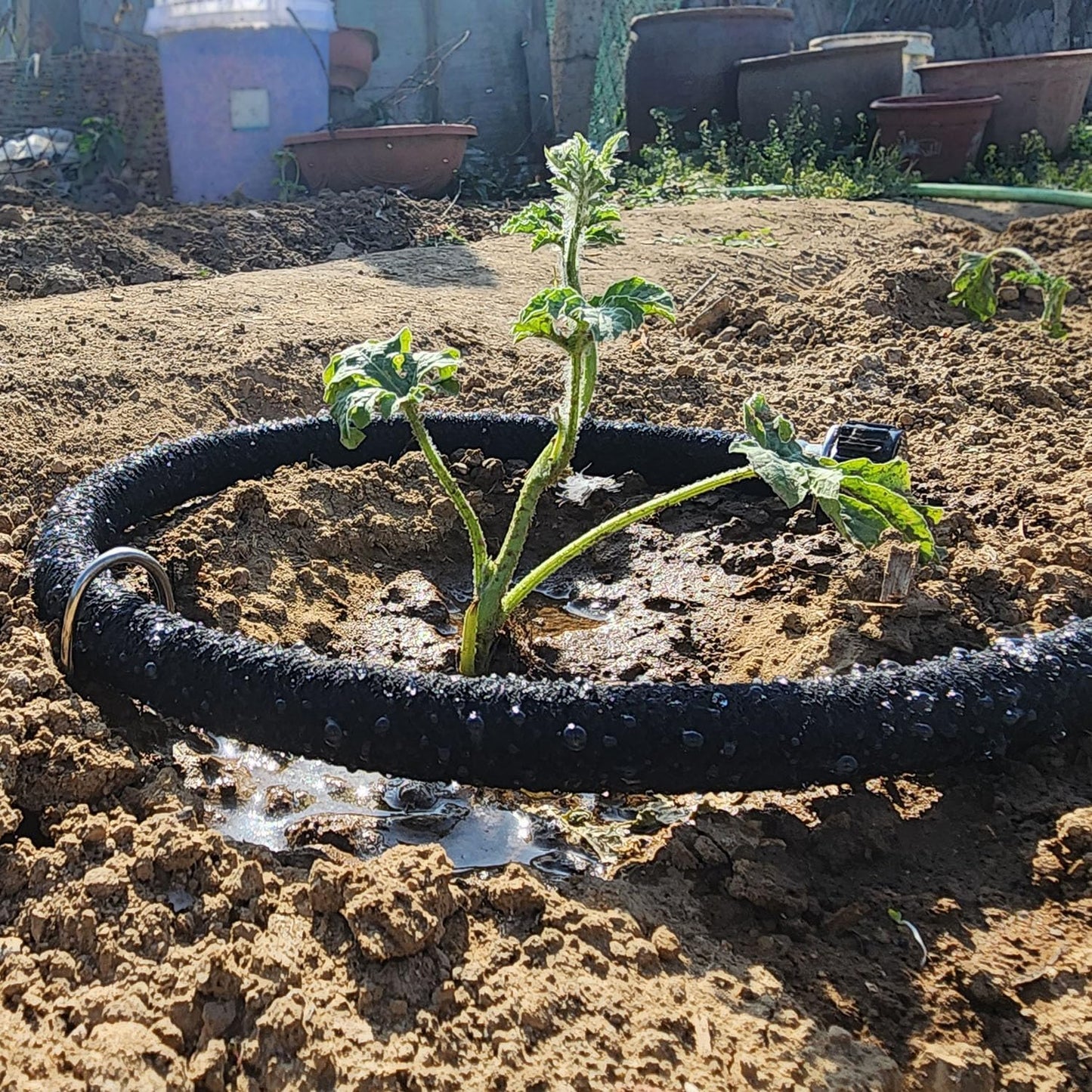 Short Soaker Hose 10 FT x1/2" Garden Soaker Hose, Water Seeper Hoses for Foundation Watering, Garden Beds, Garden, Lawn and Plants