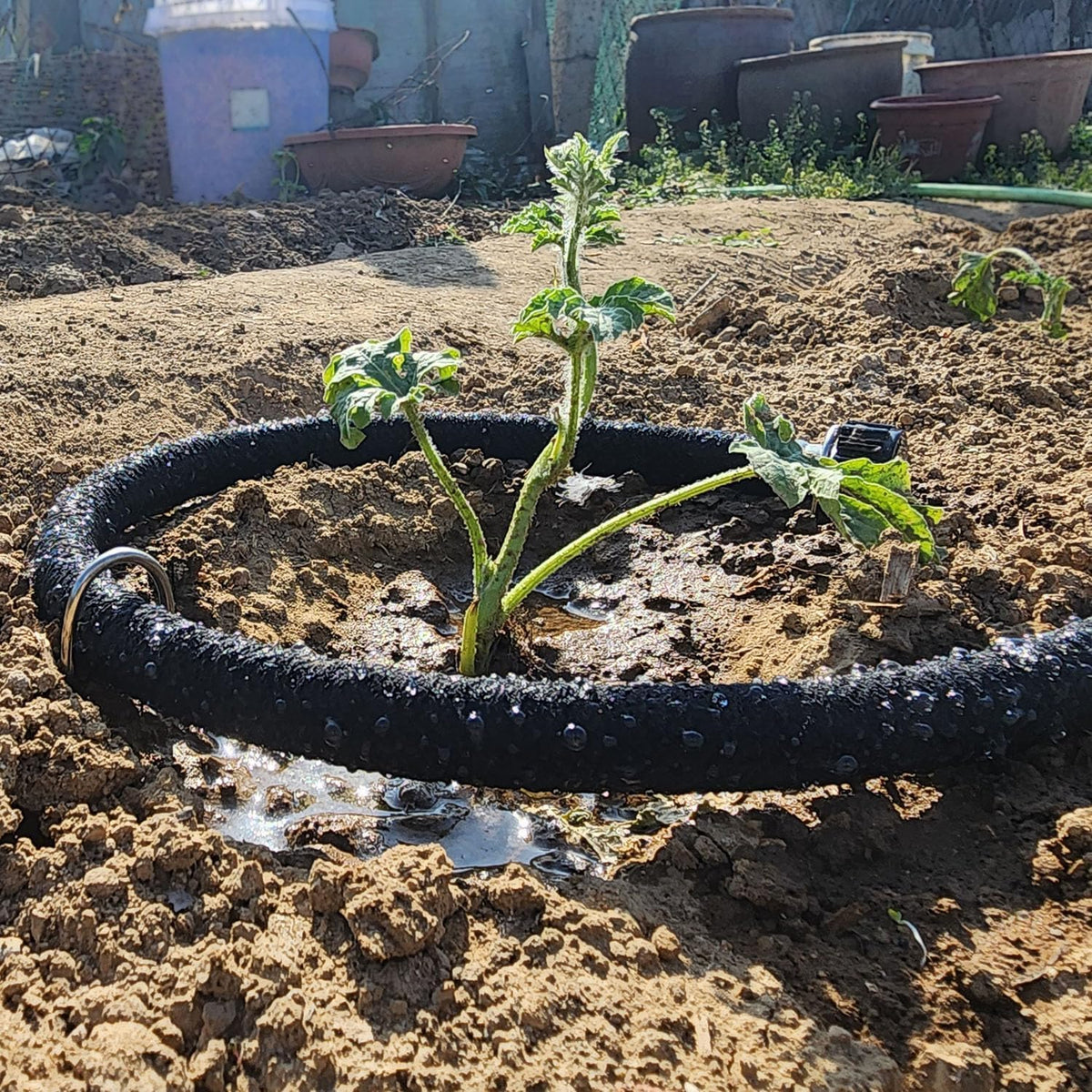 Short Soaker Hose 10 FT x1/2" Garden Soaker Hose, Water Seeper Hoses for Foundation Watering, Garden Beds, Garden, Lawn and Plants