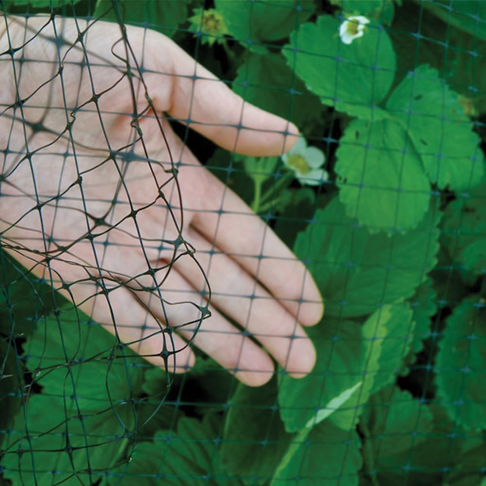 Garden Bird Netting, 3/4" Mesh, 14'x100', Black
