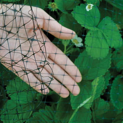 Garden Bird Netting, 3/4" Mesh, 14'x100', Black