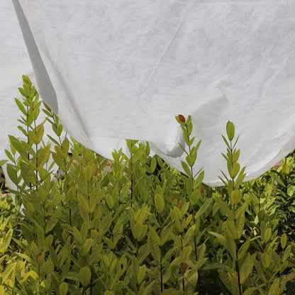 Plant Cover Freeze Protection,Reusable Frost Protection Plant Blanket,Floating Row Cover Garden Fabric Plant Cover,Frost Cloth Blanket Protecting Fruit Tree Potted Plants