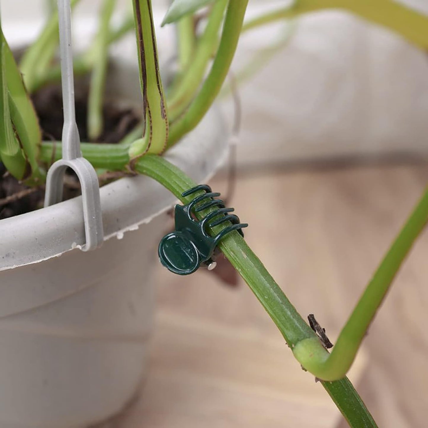 100 Pcs Plant Clips Orchid Clips Plants Orchid Support Clips Flower Vine Clips for Supporting Stems Vines Stalks Climbing Plant Grow Upright