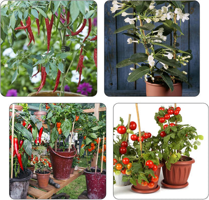 100 Pcs Plant Clips Orchid Clips Plants Orchid Support Clips Flower Vine Clips for Supporting Stems Vines Stalks Climbing Plant Grow Upright