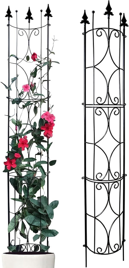 Thealyn Garden Trellis 2 Pack 72'' H x 12'' W Metal Plant Trellis