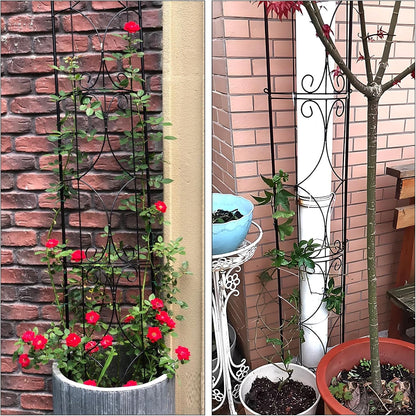 Thealyn Garden Trellis 2 Pack 72'' H x 12'' W Metal Plant Trellis