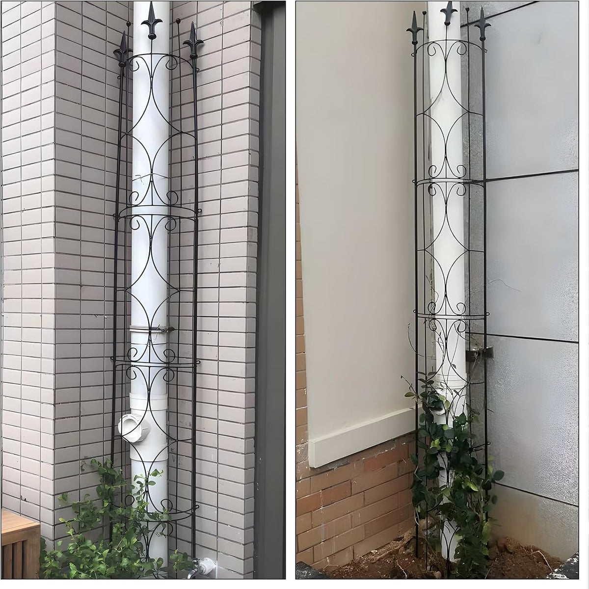 Thealyn Garden Trellis 2 Pack 72'' H x 12'' W Metal Plant Trellis