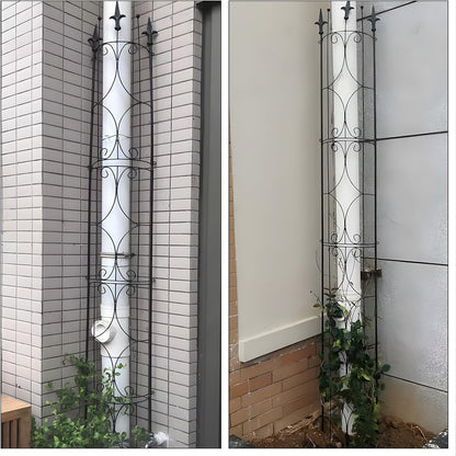 Thealyn Garden Trellis 2 Pack 72'' H x 12'' W Metal Plant Trellis