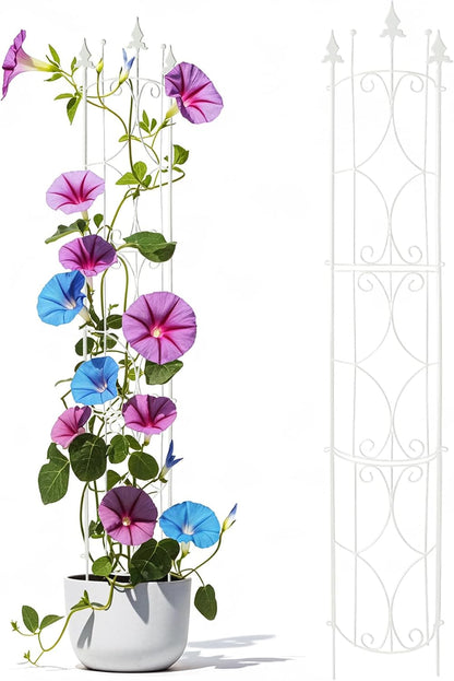 Thealyn Garden Trellis 2 Pack 72'' H x 12'' W Metal Plant Trellis
