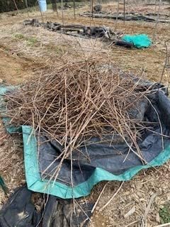 Drawstring Tarp - 9’ by 9’ - Extra Strength for Easy Clean Ups - Forms into Bag - Best Leaf Tarp - Useful for Covering Bikes, Furniture, Etc.