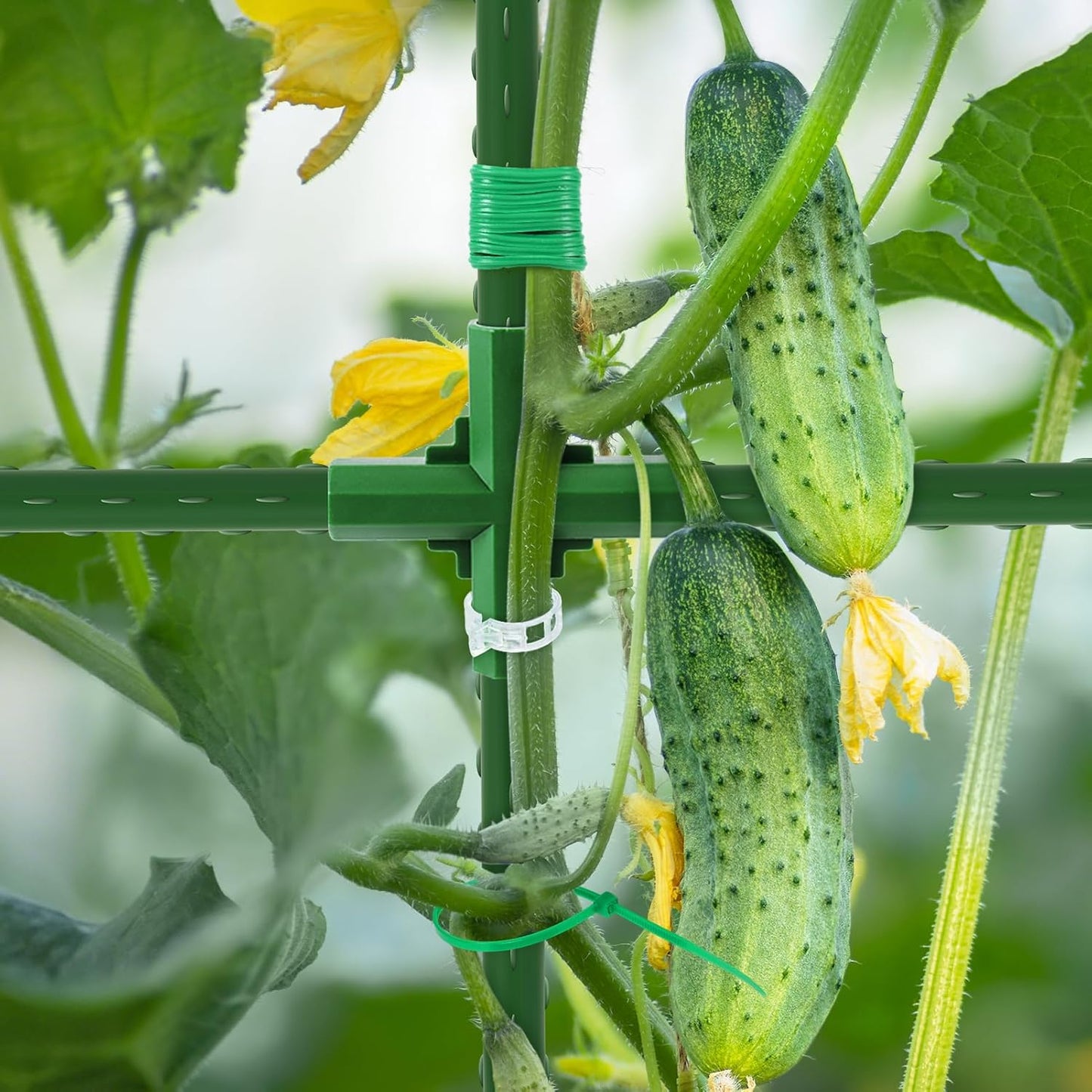 Extra Large Cucumber Trellis for Raised Bed,Green,65"x49.2"x23.6"