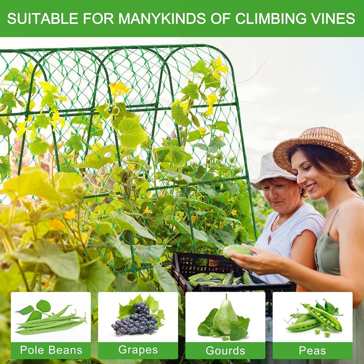 Extra Large Cucumber Trellis for Raised Bed,Green,65"x49.2"x23.6"
