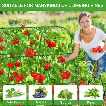 Extra Large Cucumber Trellis for Raised Bed,Green,65"x49.2"x23.6"