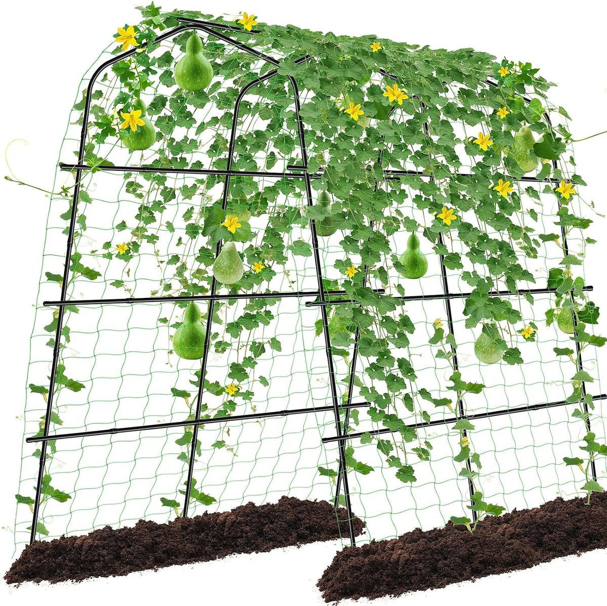 Extra Large Cucumber Trellis for Raised Bed,Green,65"x49.2"x23.6"