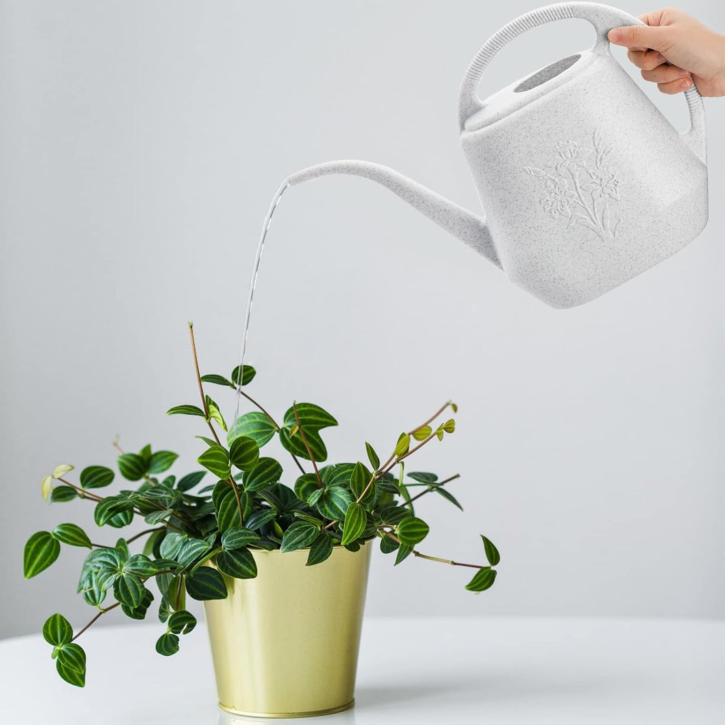 1-Gallon Plastic Watering Can with Comfortable Handle, Garden Watering Cans Long Spout for Indoor Outdoor Watering Plants (Green)