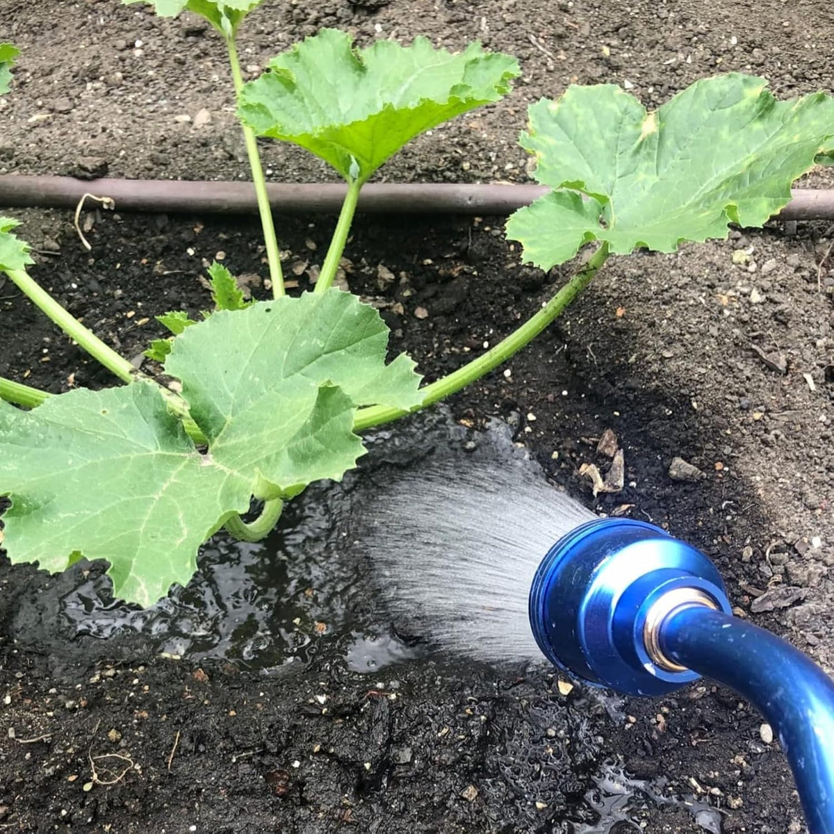 Watering Wand, 24 Inch Sprayer Wand with Superior Stainless Head, Perfect for Hanging Baskets, Plants, Flowers, Shrubs, Garden and Lawn
