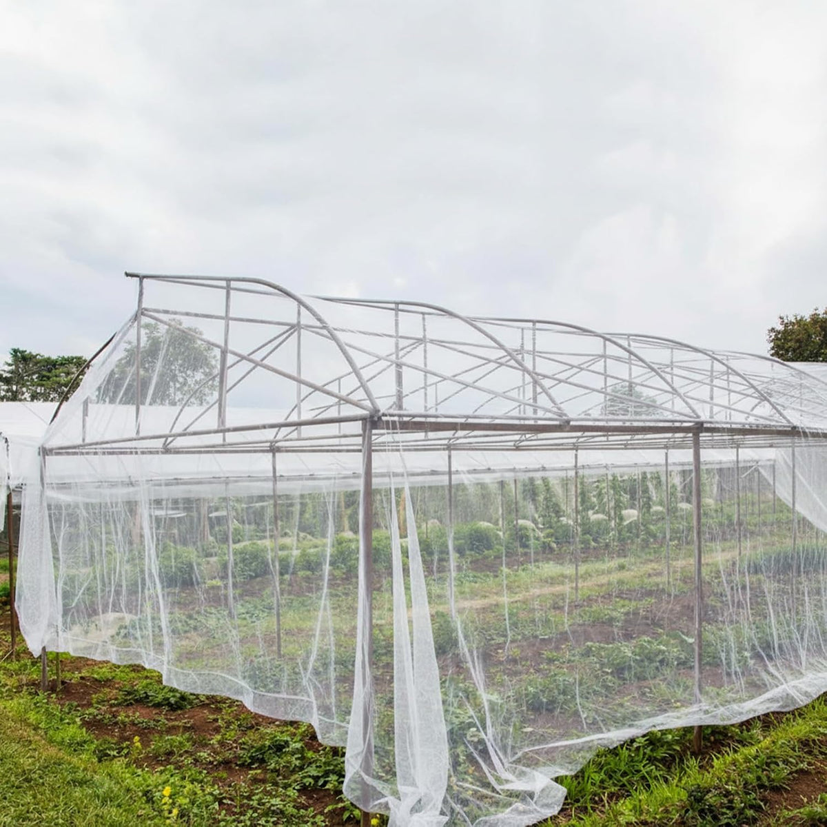 15 x 33 ft Garden Mesh Netting Insect Mosquito Net, White, 1 Pcs