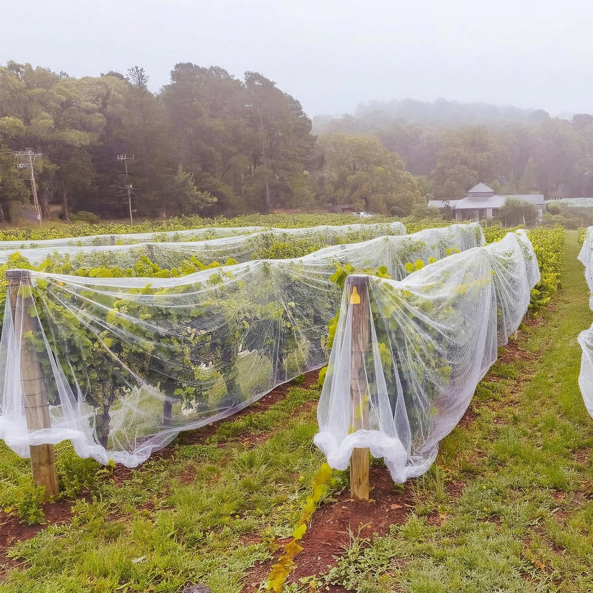 15 x 33 ft Garden Mesh Netting Insect Mosquito Net, White, 1 Pcs