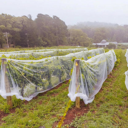 15 x 33 ft Garden Mesh Netting Insect Mosquito Net, White, 1 Pcs